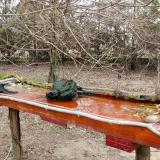 photo 2021-03-22 11-59-53