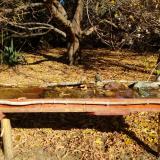 photo 2021-10-24 10-44-24