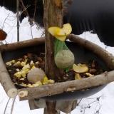 photo 2019-01-12 12-02-35