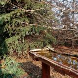 photo 2021-11-14 13-04-11