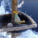 photo 2019-01-21 09-05-39