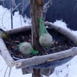 photo 2019-01-11 07-38-27