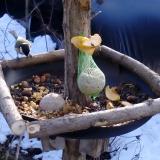 photo 2019-01-14 10-56-46