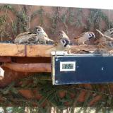 photo 2021-03-08 10-00-04