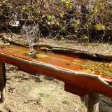 photo 2021-04-07 10-15-05