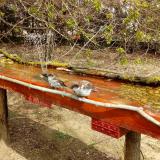 photo 2021-04-06 12-50-07