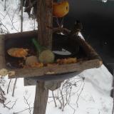 photo 2019-01-24 07-51-28