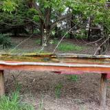 photo 2021-04-28 08-13-36