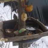 photo 2019-01-27 12-16-07