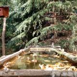 photo 2023-10-17 13-31-00