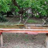 photo 2021-05-06 18-41-16