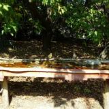 photo 2021-10-02 12-39-15