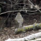 photo 2022-01-24 14-57-23 003