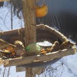 photo 2019-01-27 09-55-05