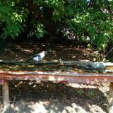 photo 2021-09-26 11-52-08