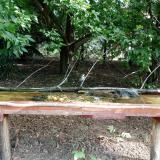 photo 2021-08-04 08-56-47