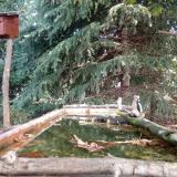 photo 2023-10-01 10-39-40