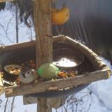 photo 2019-01-27 10-30-45