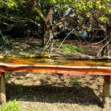 photo 2021-04-21 11-02-34