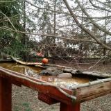 photo 2022-03-17 10-54-53