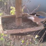 photo 2019-12-19 08-41-44