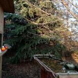 photo 2021-12-14 14-20-53