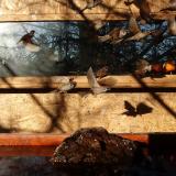 photo 2022-01-30 09-01-12