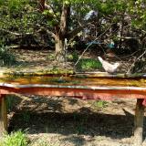 photo 2021-04-21 14-34-54