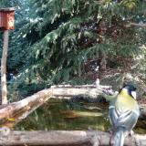 photo 2023-10-12 10-20-34