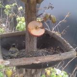 photo 2019-12-05 12-43-49