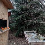 photo 2021-12-23 13-47-49