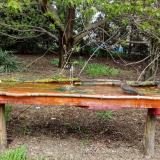 photo 2021-04-19 12-48-55