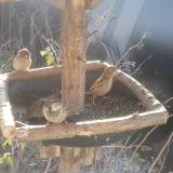 photo 2019-12-27 09-57-59