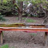 photo 2021-04-16 18-12-21