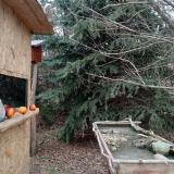 photo 2021-12-22 13-44-29