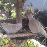 photo 2019-12-02 13-23-45