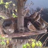 photo 2019-12-14 10-49-42