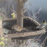 photo 2019-12-28 12-22-58