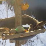 photo 2019-01-27 09-11-33