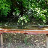 photo 2021-05-25 10-31-31