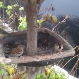 photo 2019-12-02 09-38-23