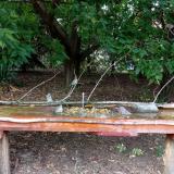 photo 2021-09-07 14-55-34