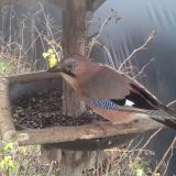 photo 2019-12-25 12-16-31