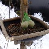 photo 2019-01-10 10-43-59