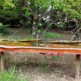 photo 2021-04-29 12-04-29