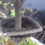 photo 2019-12-02 08-25-39