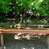 photo 2021-05-10 12-23-56