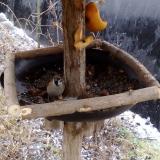 photo 2019-02-05 09-20-36