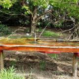 photo 2021-04-27 09-47-22