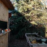 photo 2021-12-17 14-19-43